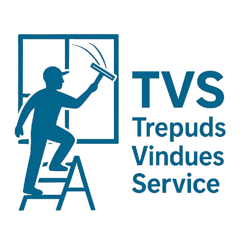 TVS logo